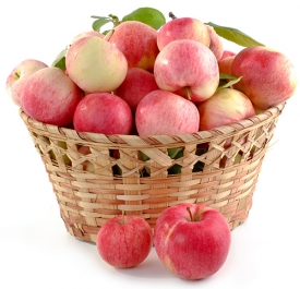 Basket of apples