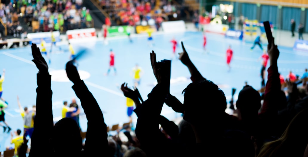 Fans cheering at a sport event