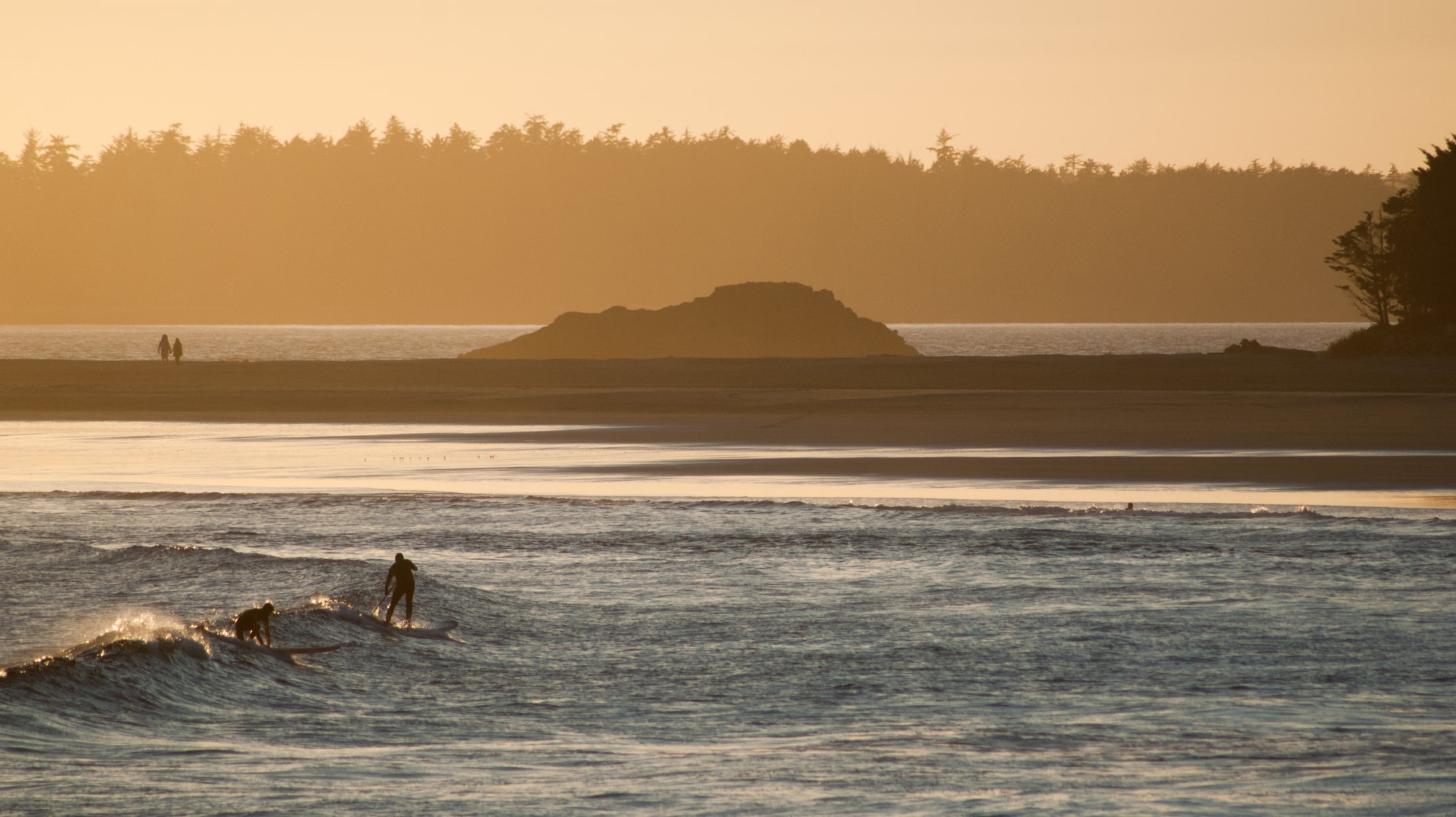 Surfers in the water at dusk