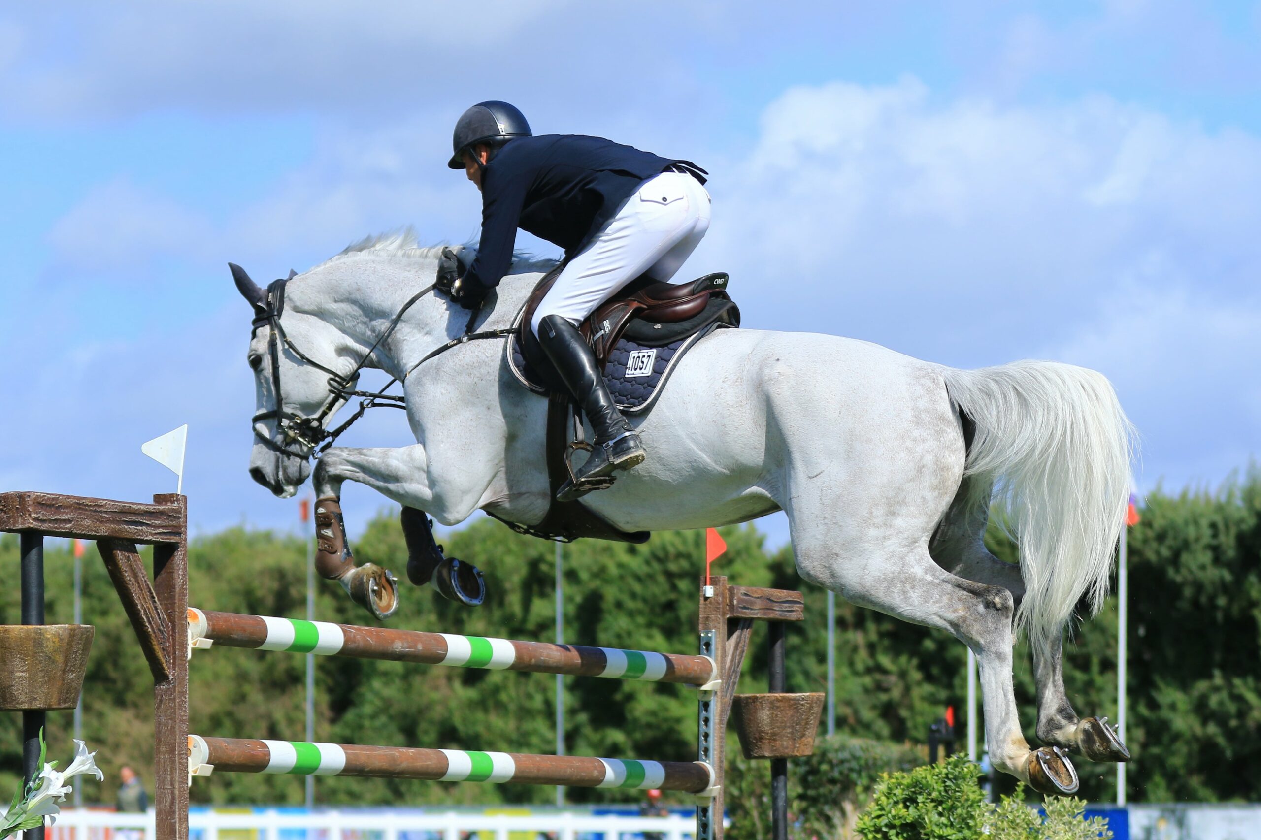 Equestrian rider leaping over a vault.