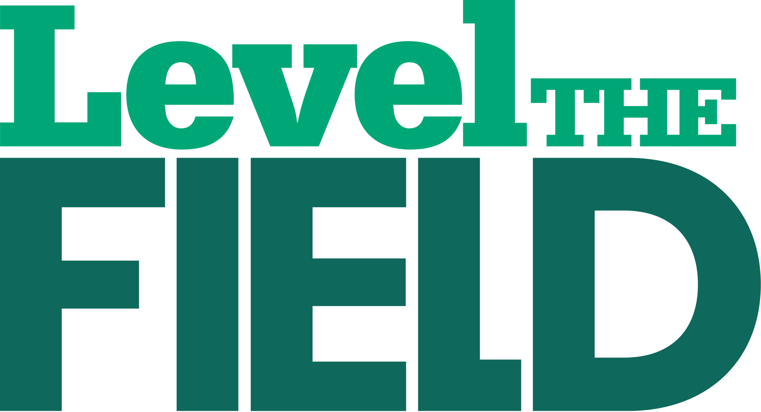 Level the Field Foundation